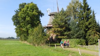 Historische Windmühle aus Backstein, etwas versteckt zwischen grünen Bäumen und Wiesen, in Brockel