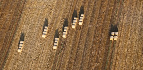 Ein gelbes Stoppelfeld mit Strohballen von oben, grafisch interessant mit schrägen Linien und runden Ballen