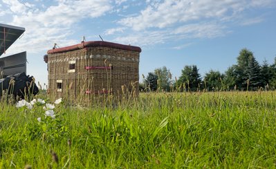 Der Korb des Heißluftballons steht vor dem Start auf einer grünen Wiese