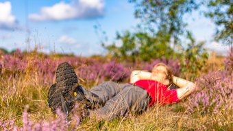 Eine Frau mit rotem T-Shirt und Wanderstiefeln liegt entspannt in einer lilafarbenen blühenden Heidefläche