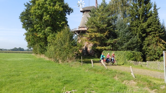 Historische Windmühle aus Backstein, etwas versteckt zwischen grünen Bäumen und Wiesen, in Brockel