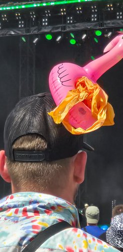 Der Rückansicht eines Mannes mit einer auffälligen Kopfbedeckung aus einem aufblasbaren Flamingo auf einem farbenfrohen Festival.