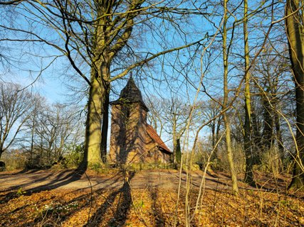 Kirche in Oese im Abendlicht unter alten Bäumen