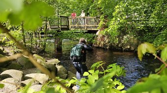 Ein Fotograf steht an dem Bach Mehde inmitten von Bäumen und fotografiert ein Paar mit Fahrrädern auf der Brücke