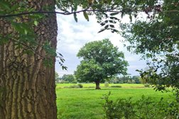 NORDPFAD Kempowskis Idylle