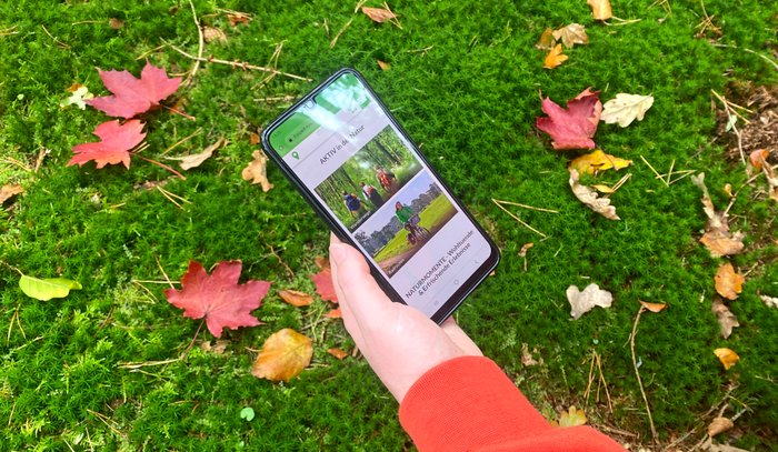 Eine Frau schaut im Wald auf ihr Mobiltelefon, um sich auf der Seite app.nordwaerts.de zu informieren