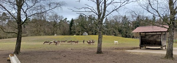 Viel Platz für das Wild im LandPark