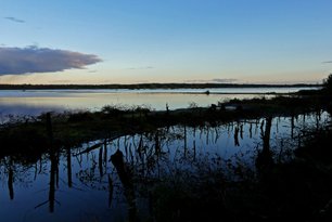 Im Moor bei Sonnenuntergang