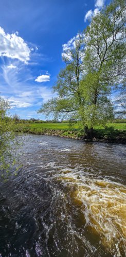 Ein schöner Fluss schlängelt sich durch eine üppige Landschaft, umrahmt von grünem Laub und einem strahlenden Himmel.