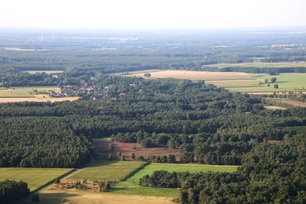 Blick auf die lila blühende Heide vom Wolfsgrund