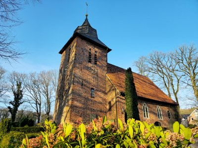 Oeser Kirche im Sonnenlicht hinter grünen Pflanzen und vor blauem Himmel