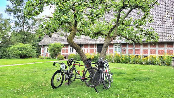 Rennräder stehen unter einem Baum vor dem Heimathaus in Rotenburg (Wümme), einem historischen Fachwerkhaus