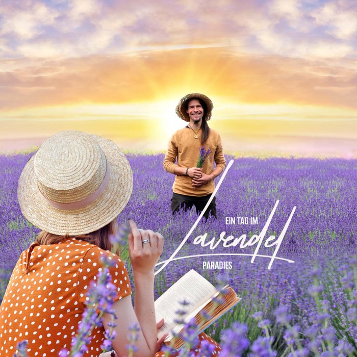 Titelmotiv der Story "Ein Tag im Lavendel-Paradies"