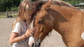 Ein Mädchen im hellen Kleid streichelt verträumt den Kopf eines braunen Pferdes