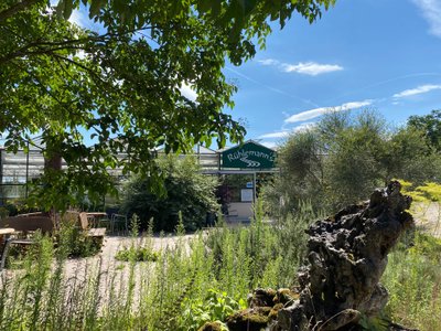 Gelände von Rühlemann's Kräuer und Duftpflanzen