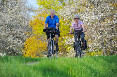 Ein Paar macht eine Radtour durch blühende Obstbäume im Alten Land am Elbstrom