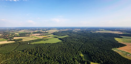 Riesige Waldfläche von oben