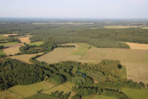 Blick auf die Fischteiche in Kirchwalsede