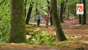 Ein Paar wandert durch den Wald, die Sonne scheint durch das Blätterdach