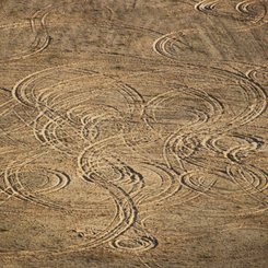 Wilde runde Fahrspuren auf einer gelben Sandfläche