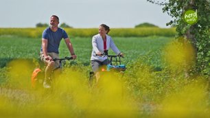Radfahrer genießen die Sonne zwischen Rapsfeldern