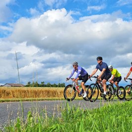 Vier Rennradfahrer unterwegs in der weiten norddeutschen Landschaft bei strahlend blauem Himmel