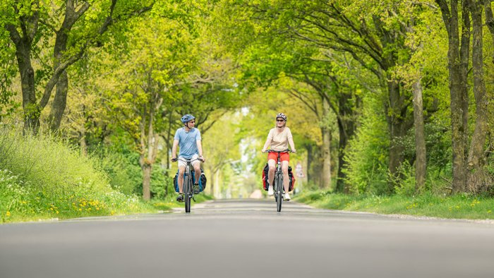 Ein Paar fährt an einem Frühsommertag entspannt mit dem Fahrrad auf einer strahlend grünen Allee