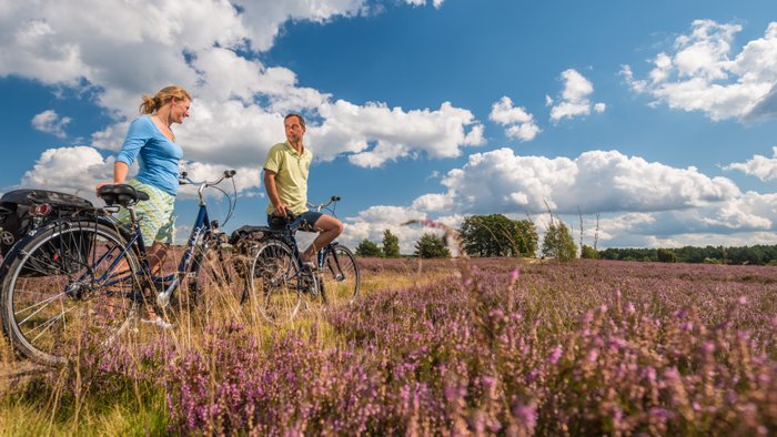 Ein Paar schiebt die Fahrräder durch die blühende Lüneburger Heide