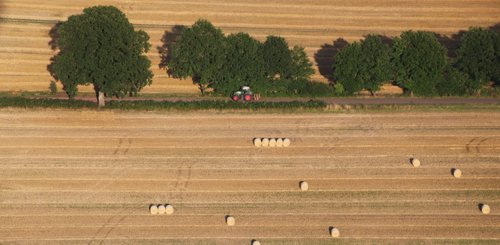 Abgeerntete Felder mit Strohballen an einer Allee