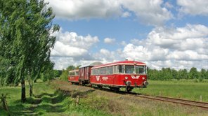 Der rote historischer Moorexpress ist unterwegs in grüner Natur