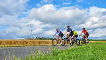 Vier Rennradfahrer unterwegs in der weiten norddeutschen Landschaft bei strahlend blauem Himmel