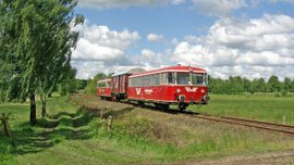 Der rote historischer Moorexpress ist unterwegs in grüner Natur
