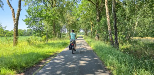 Der Radfahrer genießt die grüne Umgebung einer ländlichen Gegend, während er durch den Schatten der Bäume fährt.