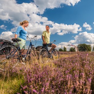 Ein Paar schiebt die Fahrräder durch die blühende Lüneburger Heide