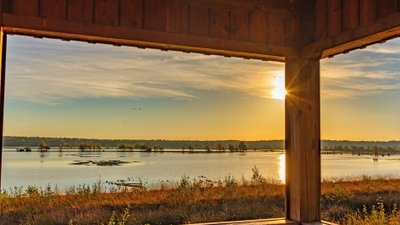 Aussichtsplattform im Tister Bauernmoor mit Blick auf Kraniche