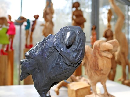 Meister Rabe lugt in die Kamera