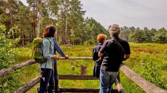 Ines Stein schaut am Aussichtspunkt im Großen und Weißen Moor in die Landschaft
