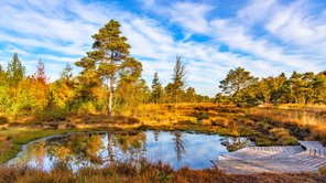 Abendstimmung an einem Teich mit Holzterrasse im Tister Bauernmoor