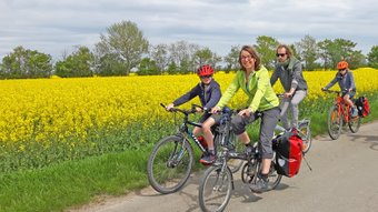 Eine Familie mit zwei Kindern fährt mit dem Rad an einem strahlend gelb blühenden Rapsfeld vorbei