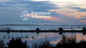 Titelmotiv der Story "Kranichalarm im Tister Bauernmoor"