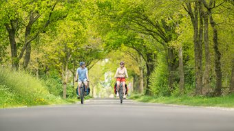 Ein Paar fährt an einem Frühsommertag entspannt mit dem Fahrrad auf einer strahlend grünen Allee