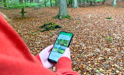 Eine Frau orientiert sich im Wald auf dem Smartphone, auf dem der digitale Reisebegleiter sichtbar ist