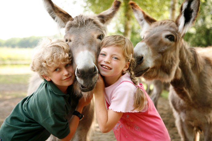 Ein Junge und ein Mädchen kuscheln und spielen mit zwei Eseln im Landpark Lauenbrück