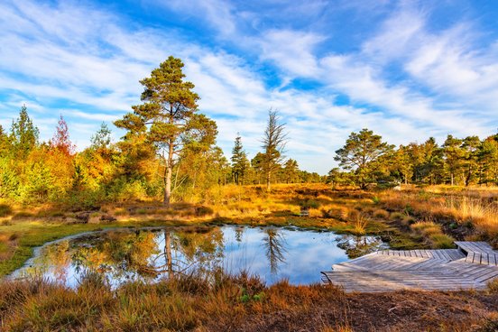 Abendstimmung an einem Teich mit Holzterrasse im Tister Bauernmoor