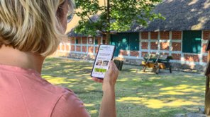 Eine Frau schaut im Wald auf ihr Mobiltelefon, um sich auf der Seite app.nordwaerts.de zu informieren
