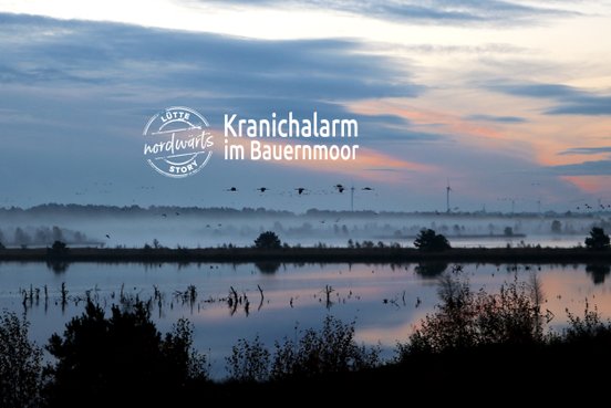 Titelmotiv der Story "Kranichalarm im Tister Bauernmoor"