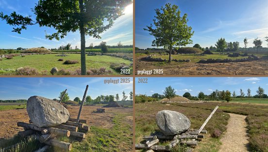 Vergleich der Fläche in Anderlingen vor und nach dem plaggen