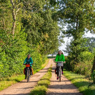Zwei Radfahrerinnen sind auf dem Fahrrad unterwegs zwischen Wald und Feldern
