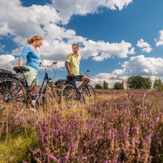 Ein Paar schiebt die Fahrräder durch die blühende Lüneburger Heide