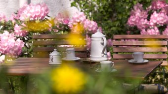 Kaffeegedeck mit Porzellan-Kaffeekanne zwischen gelben und rosafarbenen Blumen